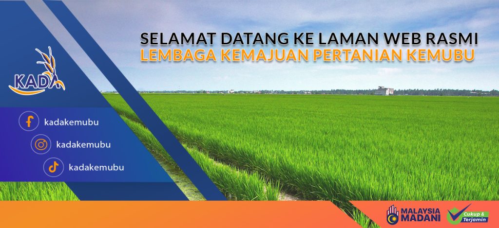 Kada 2025